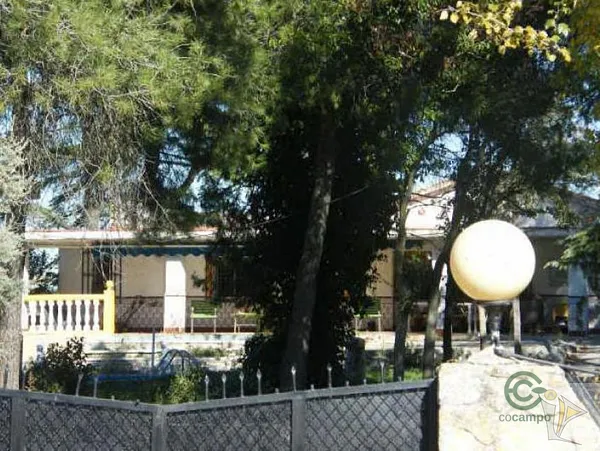 Spot image