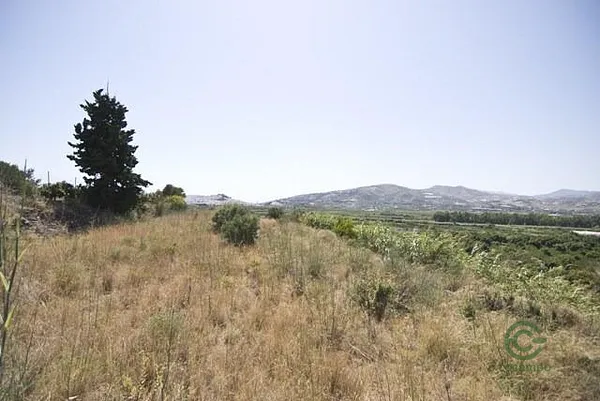 Spot image