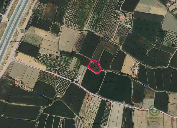 Spot image