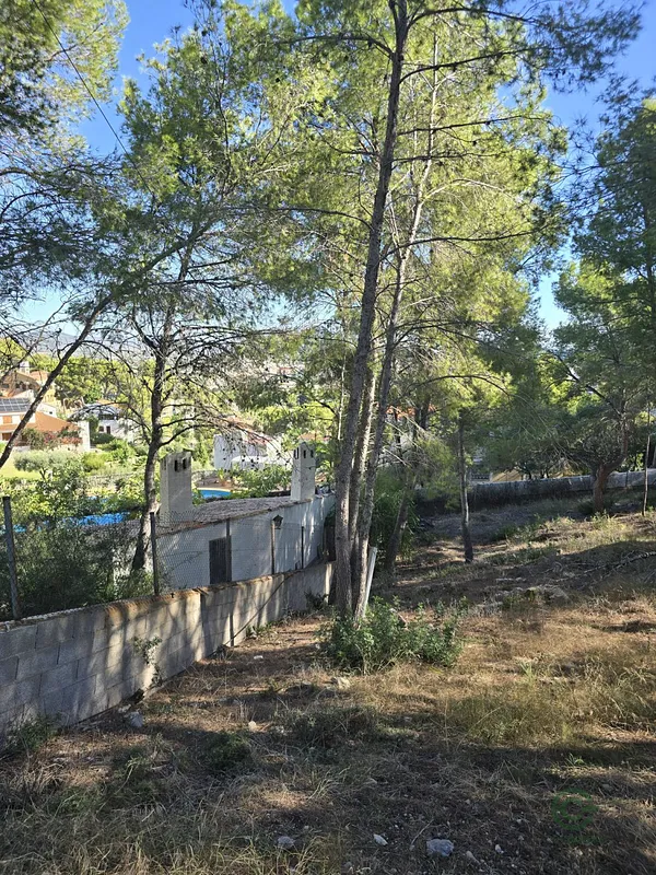 Spot image