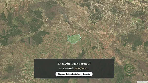 Spot image