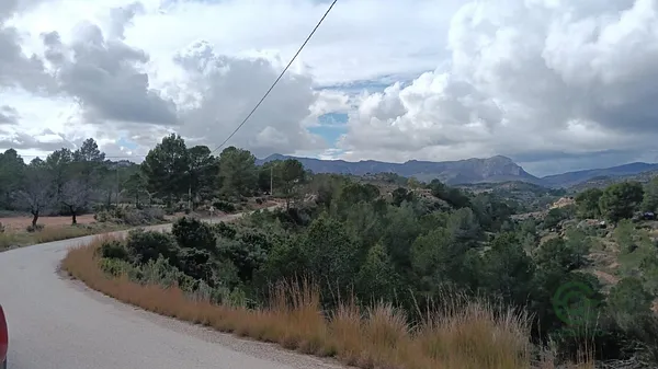Spot image