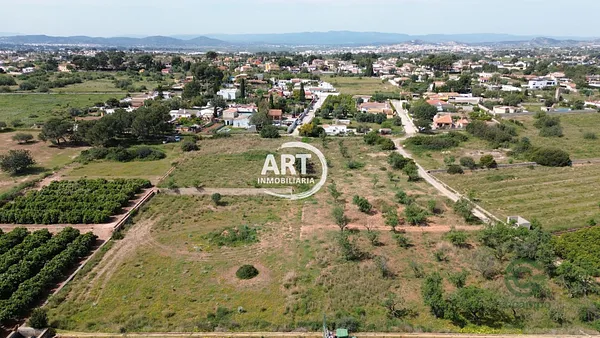 Spot image