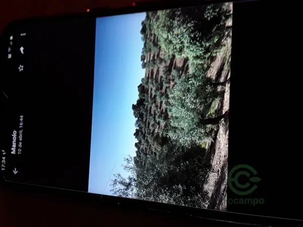 Finca agrícola de 3 ha en venta en Córdoba