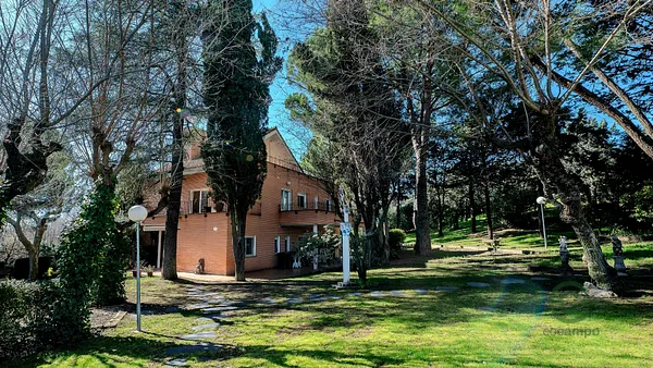 Spot image