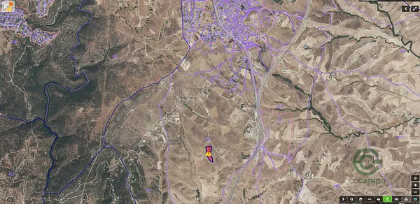 Spot image