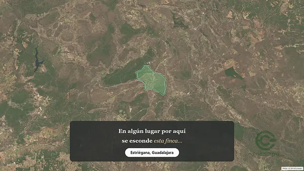 Spot image