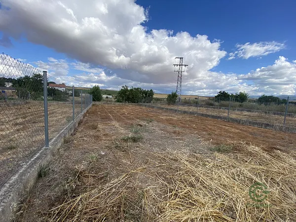 Spot image