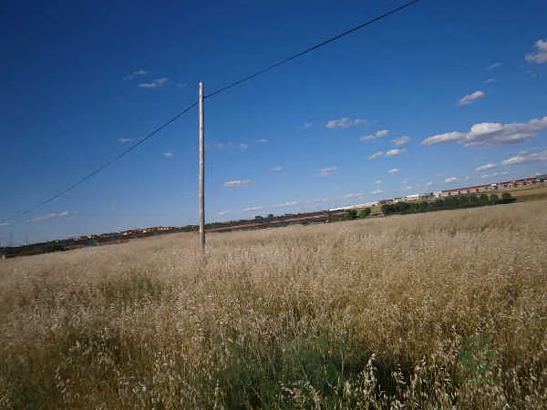 Spot image