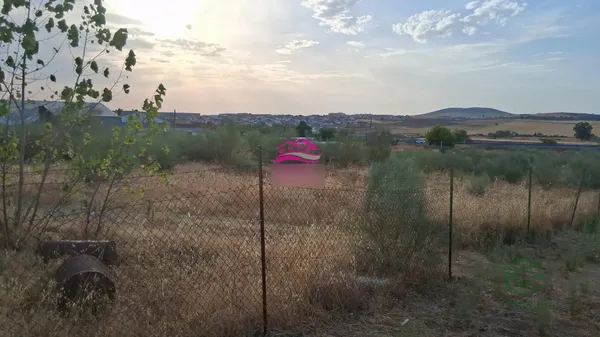 Spot image