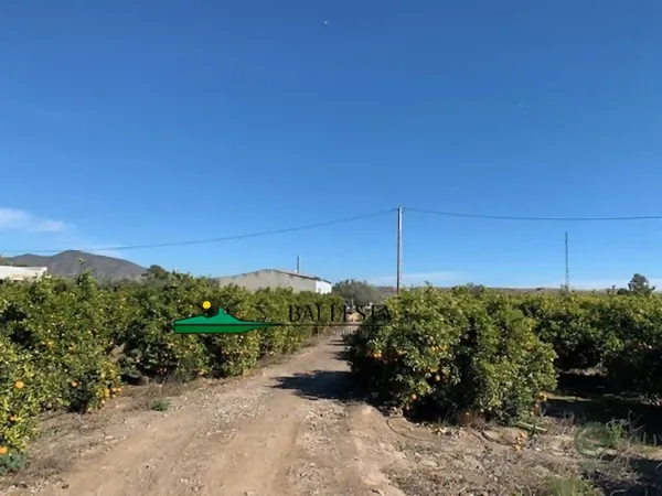 Finca agrícola de 2 ha en venta en Huercal-overa, Almeria