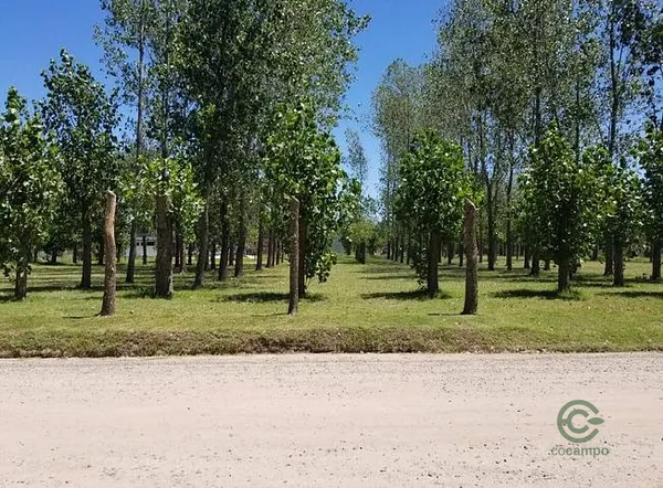 Terreno urbano de 0,1 ha en venta en Buenos aires