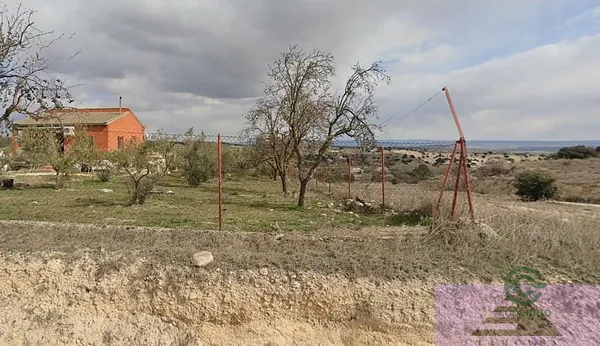 Spot image