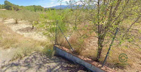 Spot image