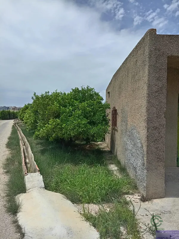 Spot image