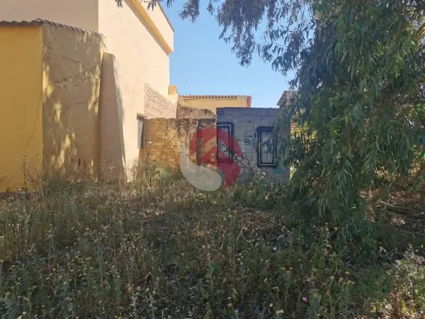 Spot image