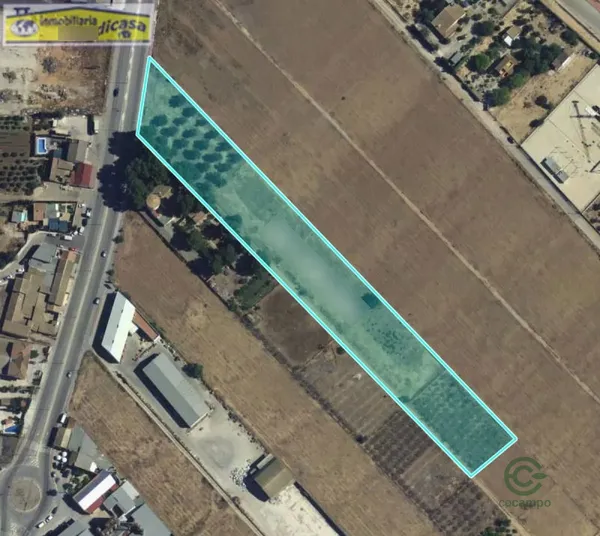 Spot image