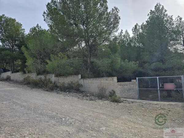 Spot image