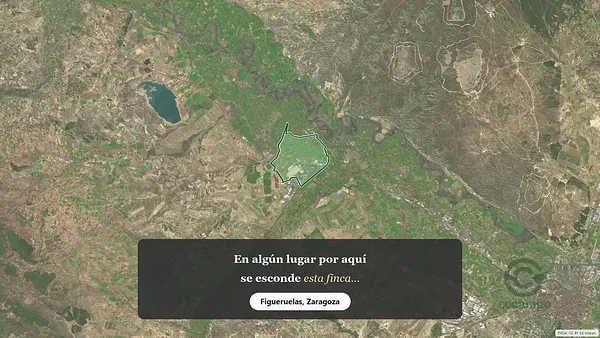 Spot image