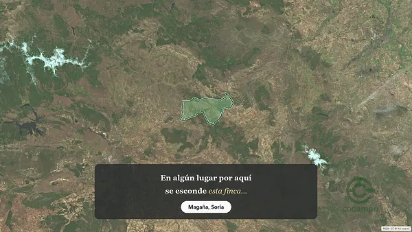 Spot image