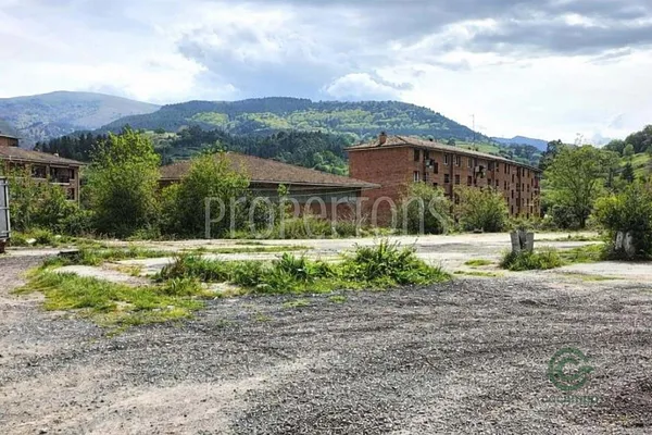 Spot image