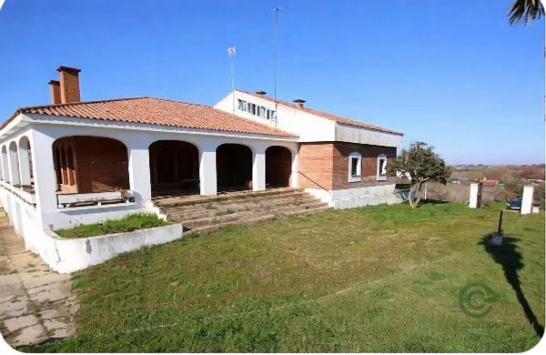 Spot image