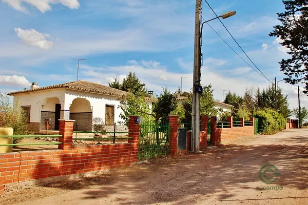 Spot image