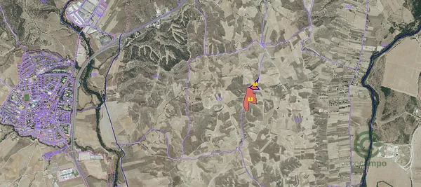 Spot image
