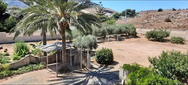 Spot image