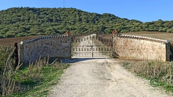Spot image