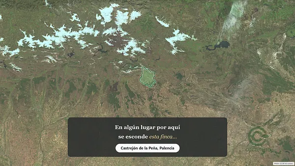 Spot image
