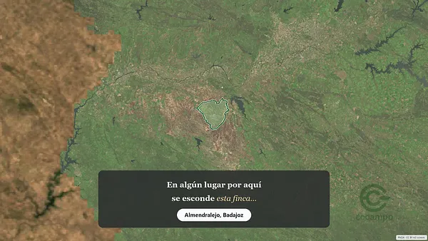 Spot image
