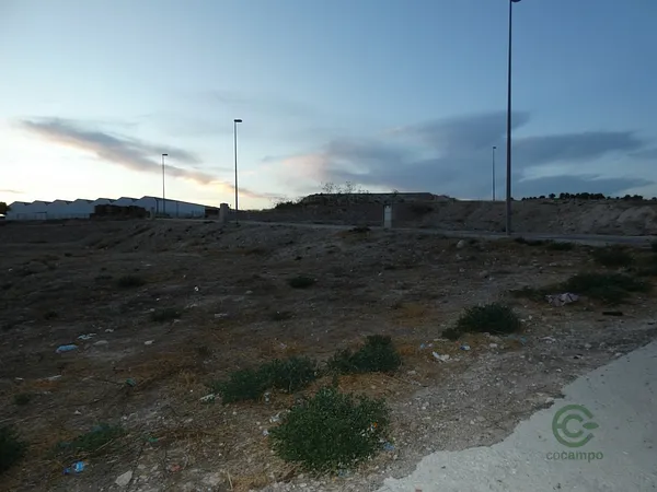 Spot image