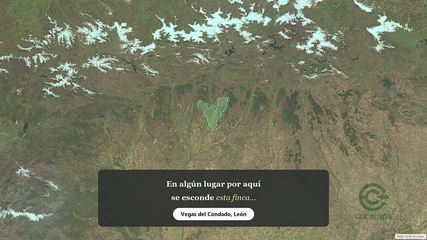 Spot image