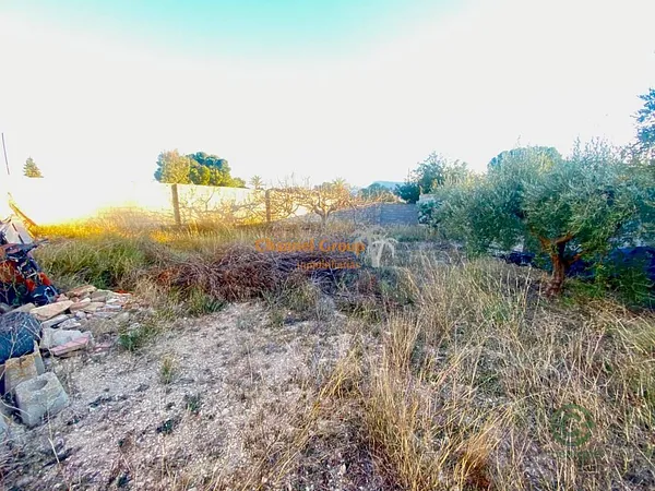 Spot image