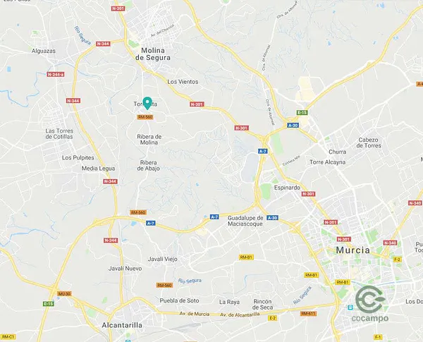 Casa de 2,9051 ha en venta en Molina de segura, Murcia