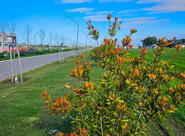 Terreno urbano de 0,03 ha en venta en Santa fe
