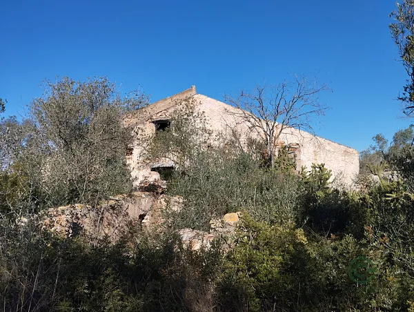 Spot image