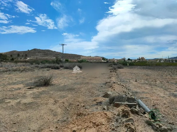 Spot image