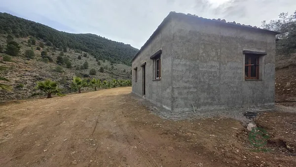 Spot image