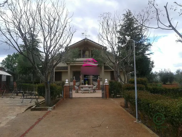 Spot image