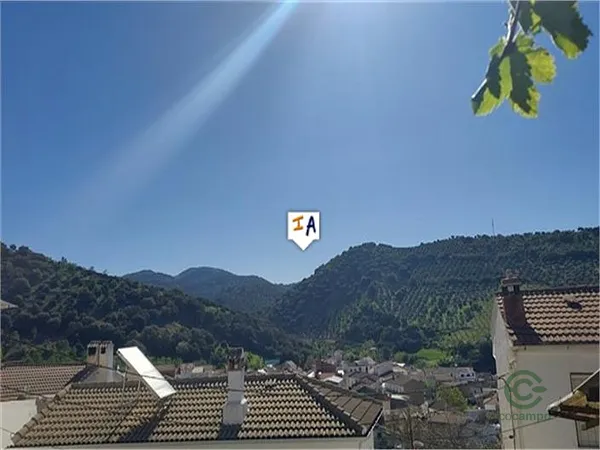 Spot image