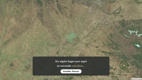 Spot image