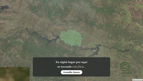 Spot image