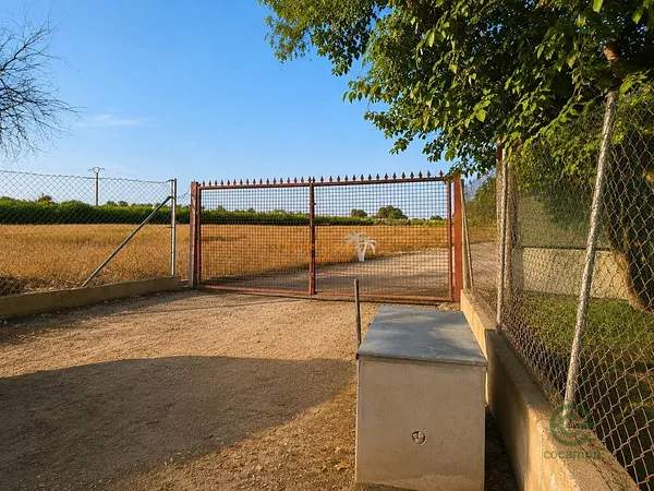 Spot image