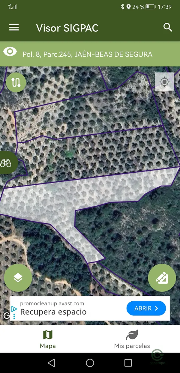 Spot image
