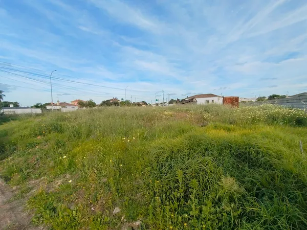Spot image