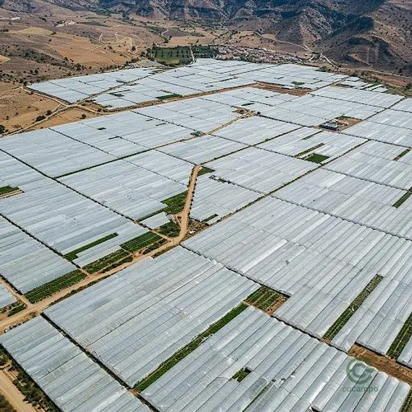 Finca agrícola de 1,1 ha en venta en Almería