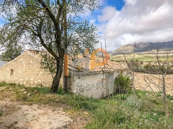 Spot image
