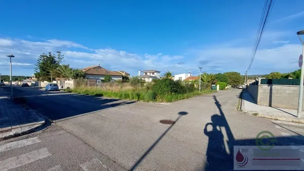 Spot image